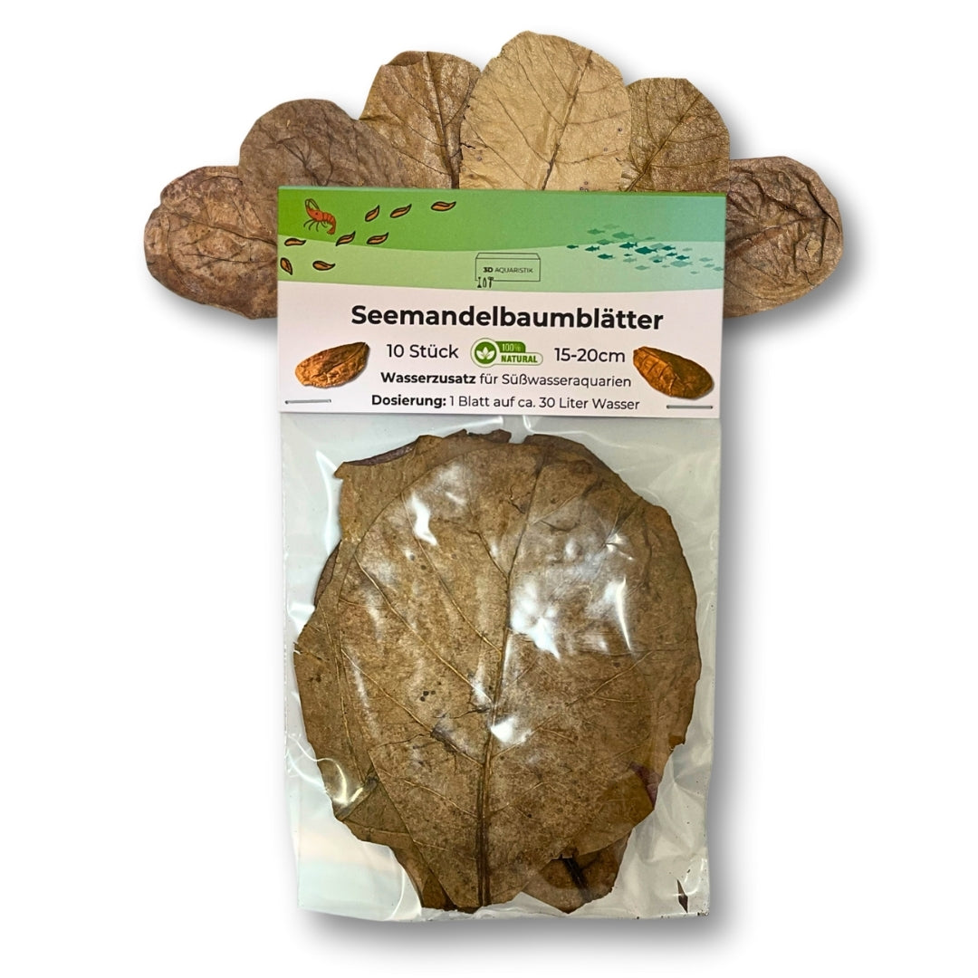 Seemandelbaumblätter - 10 Stück