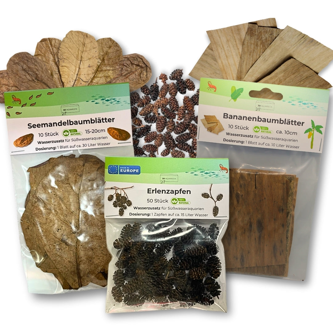 Naturkraft-Set | 50x Erlenzapfen, 10x Seemandelbaumblätter, 10x Bananenblätter