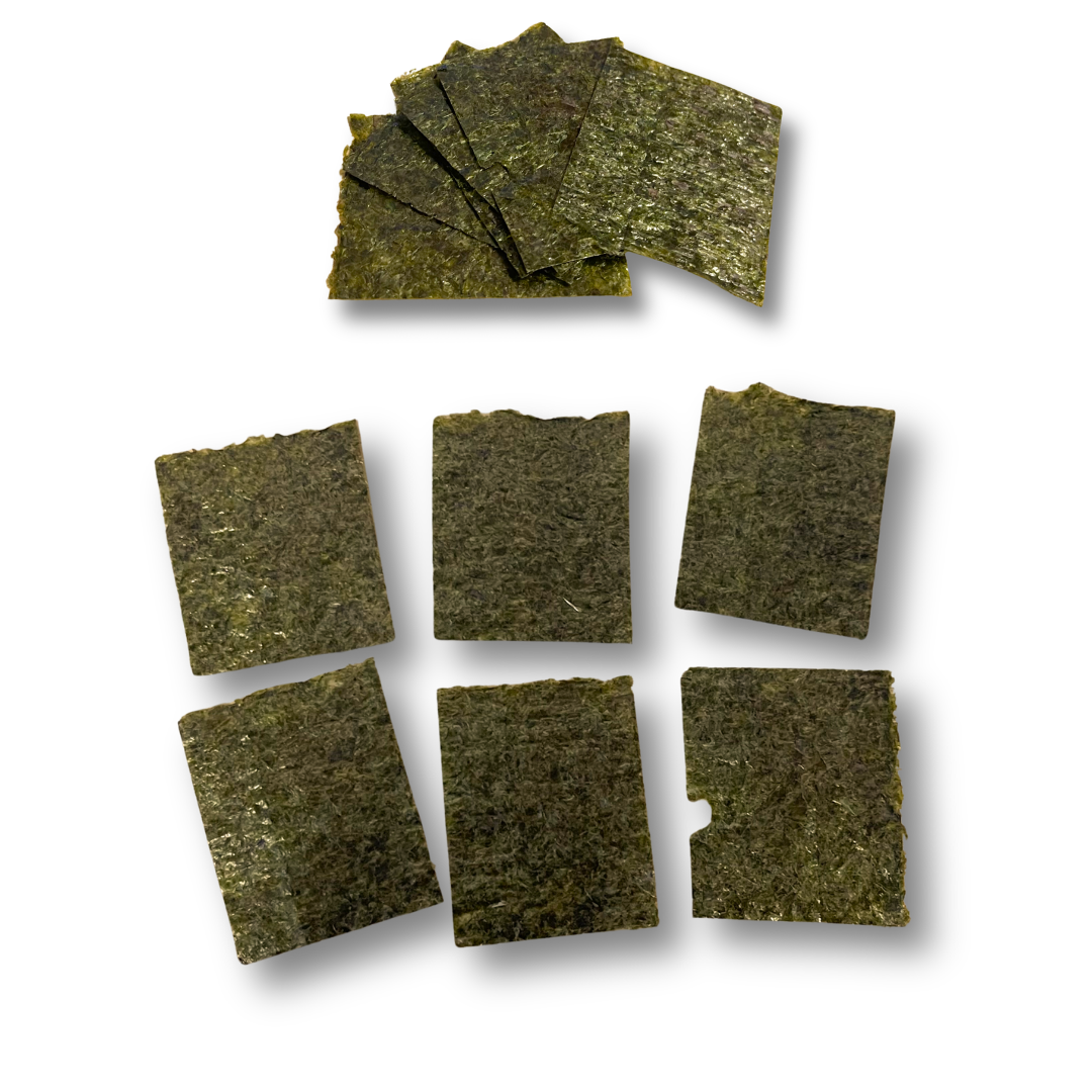 Algenblätter 6 Stück