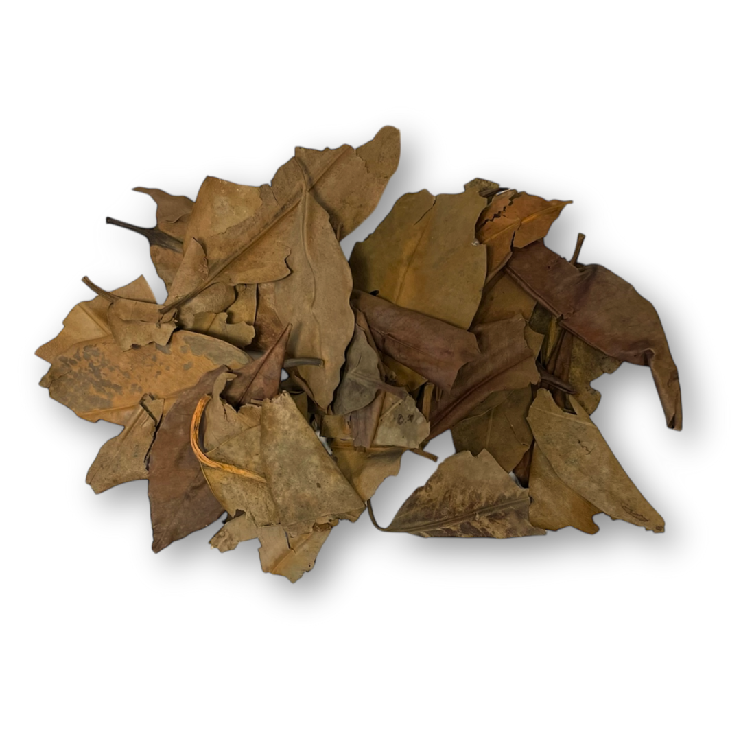 Mangrovenblätter 20 g