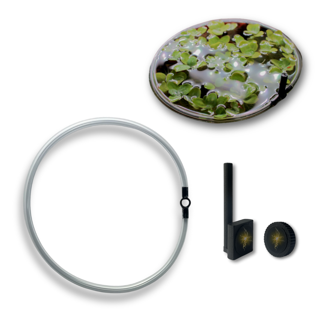 Schwimmring mit Magnetbefestigung