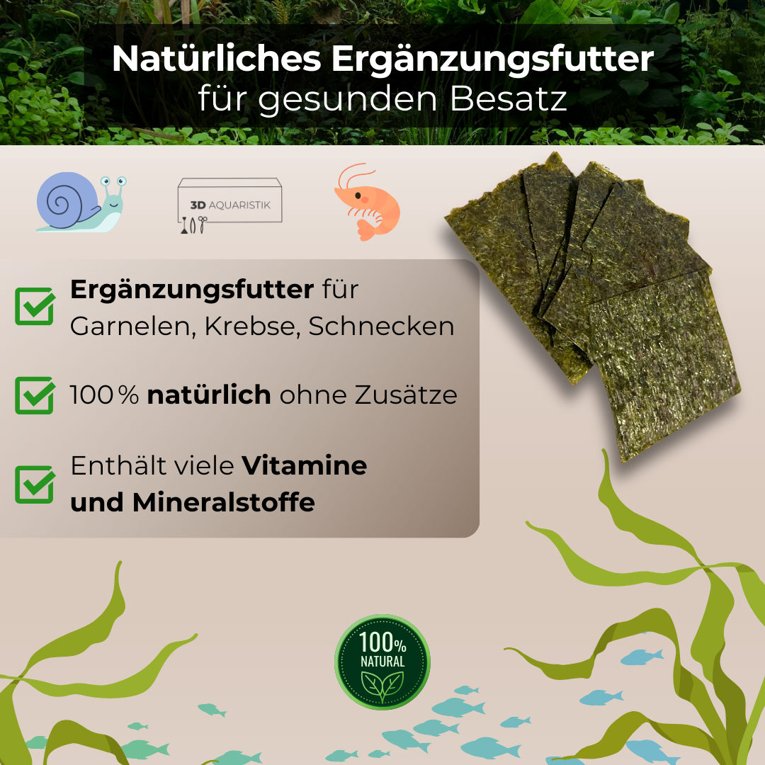 Algenblätter 6 Stück