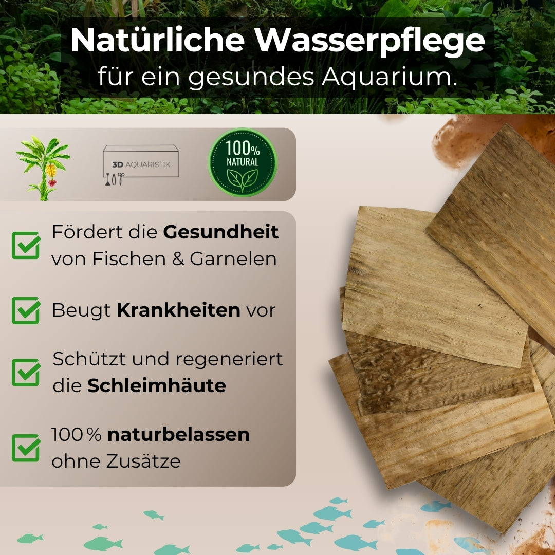 Bananenbaumblätter 10 Stück