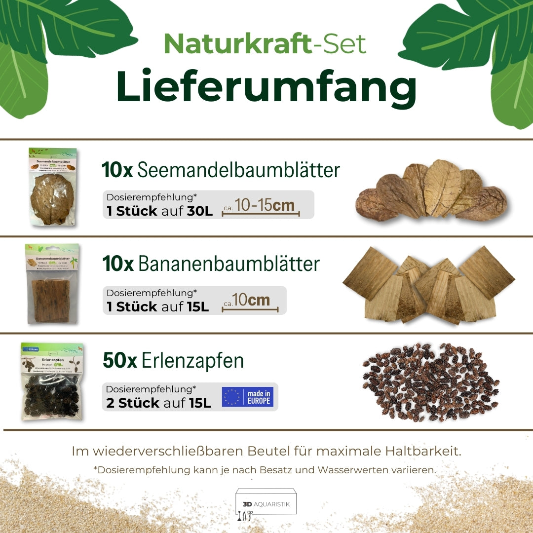 Naturkraft-Set | 50x Erlenzapfen, 10x Seemandelbaumblätter, 10x Bananenblätter