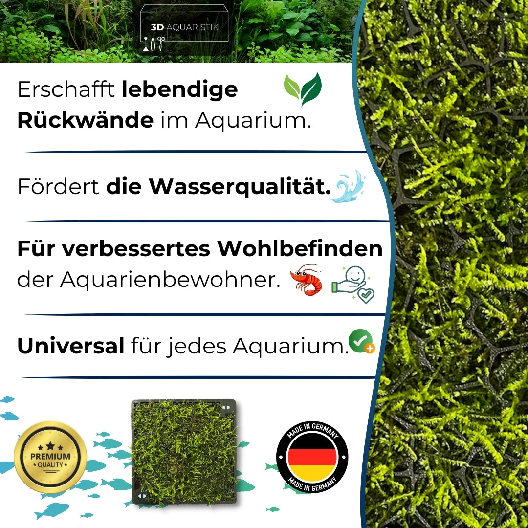 Mooswand