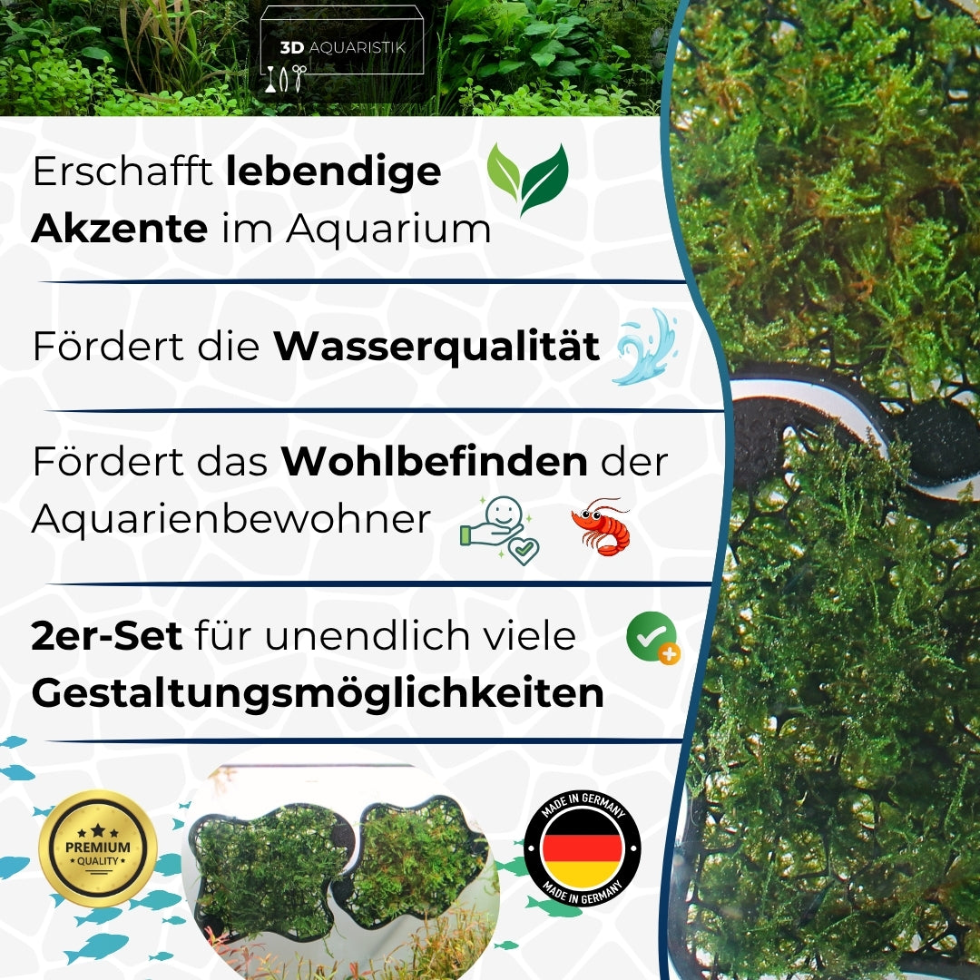 Mooswand Natural Edition 2er-Set