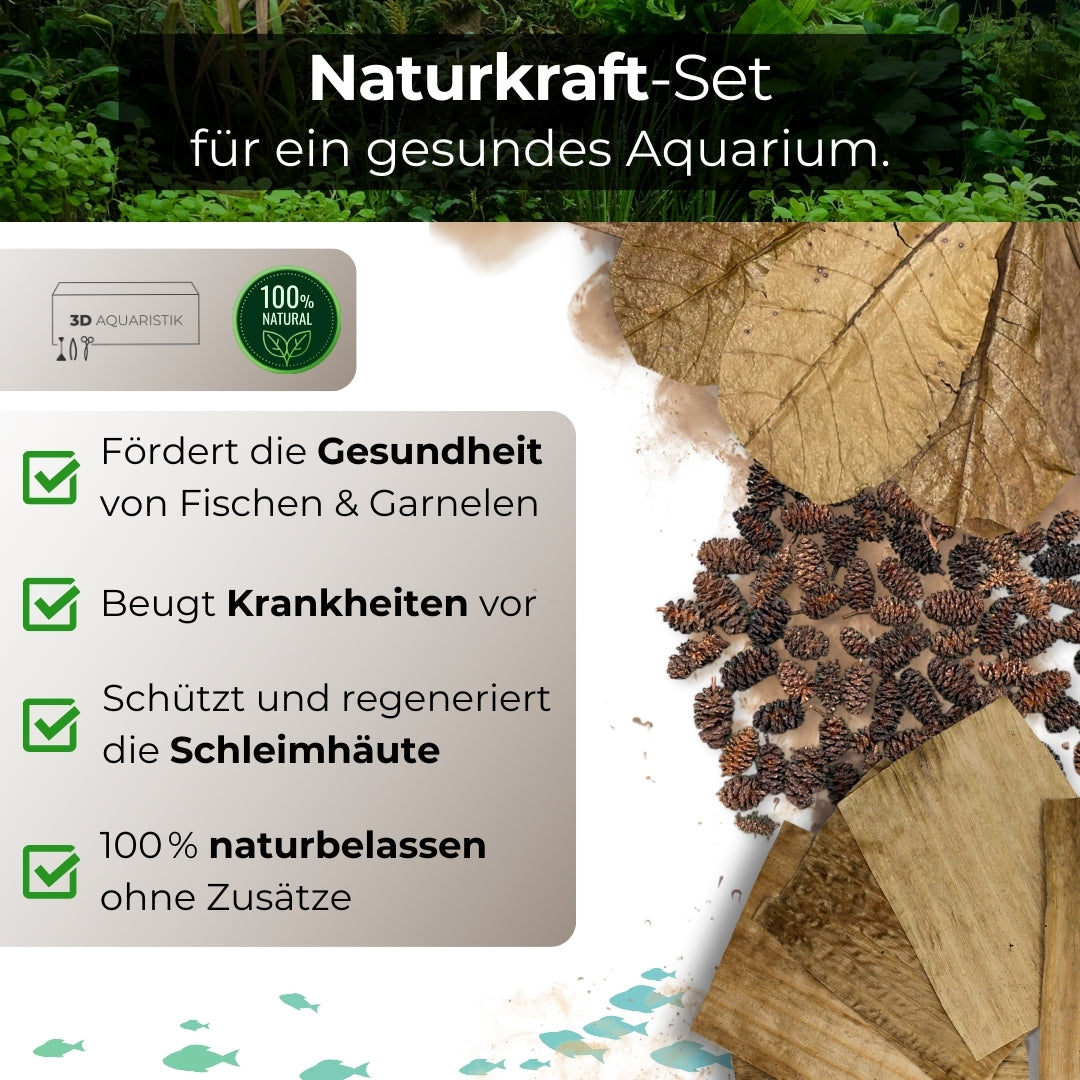 Naturkraft-Set | 50x Erlenzapfen, 10x Seemandelbaumblätter, 10x Bananenblätter