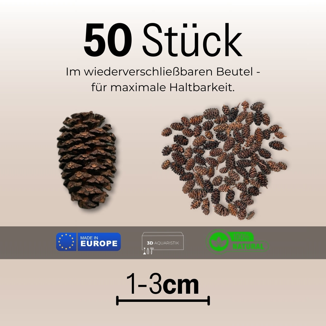 Erlenzapfen