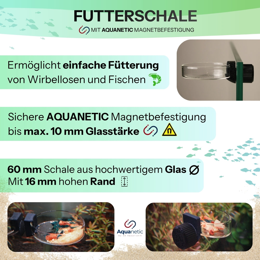 Glas-Futterschale mit Magnetbefestigung