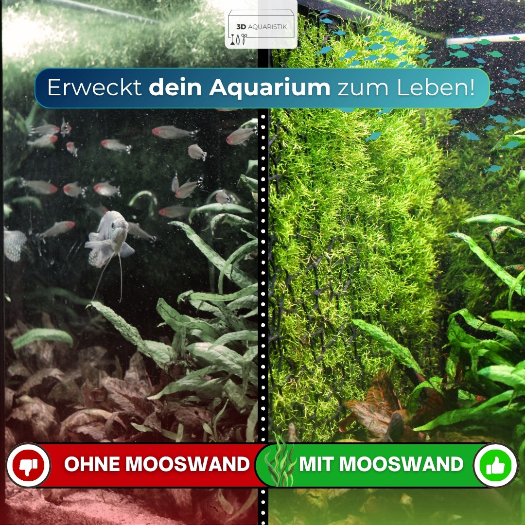 Mooswand XL 470