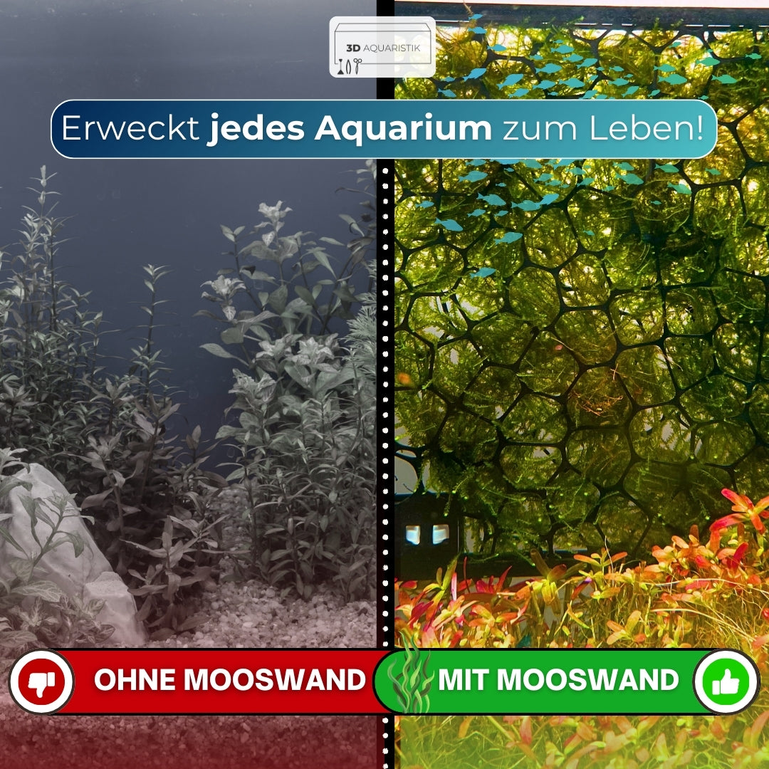 Mooswand