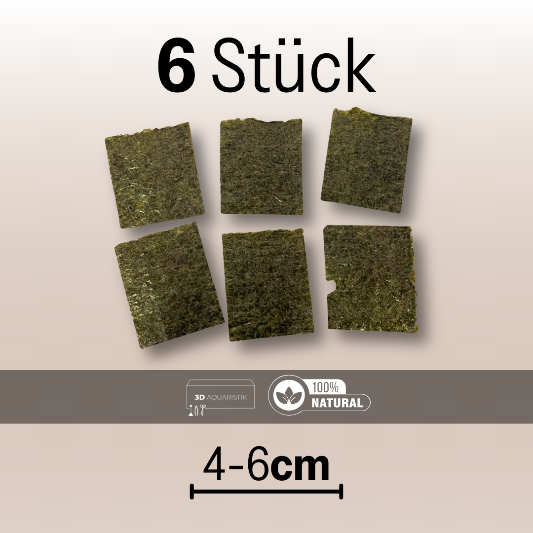 Algenblätter 6 Stück