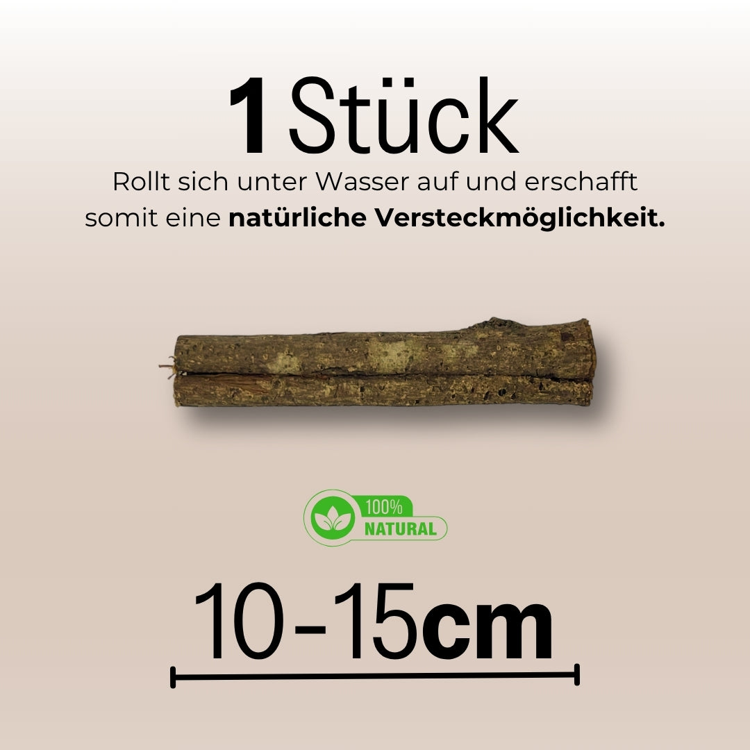 Seemandelbaumröhre