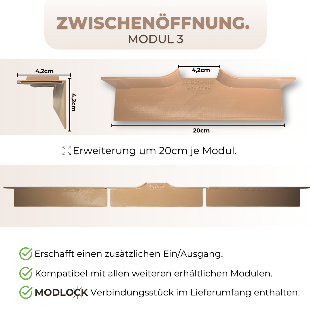 Modul 3 - Zwischenöffnung