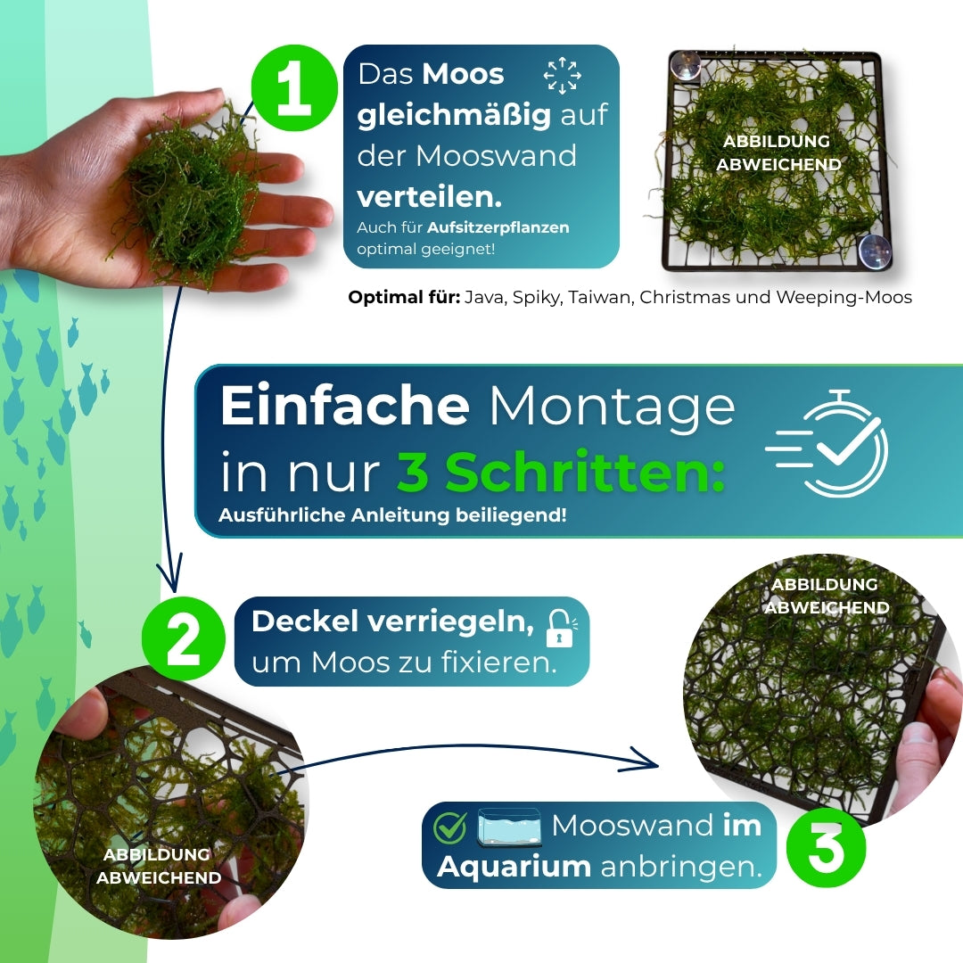 Mooswand Natural Edition 2er-Set