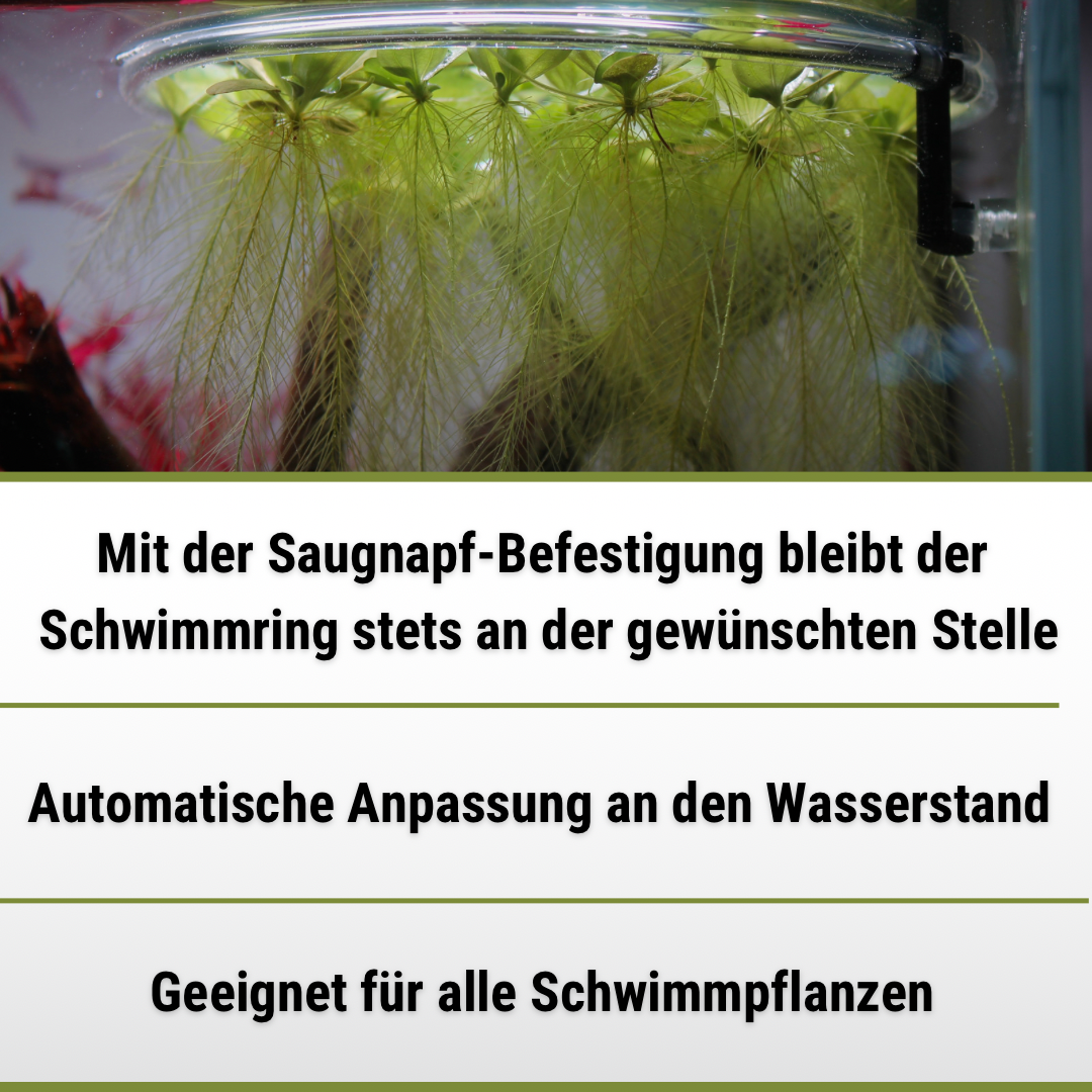 Schwimmring mit Saugnapf